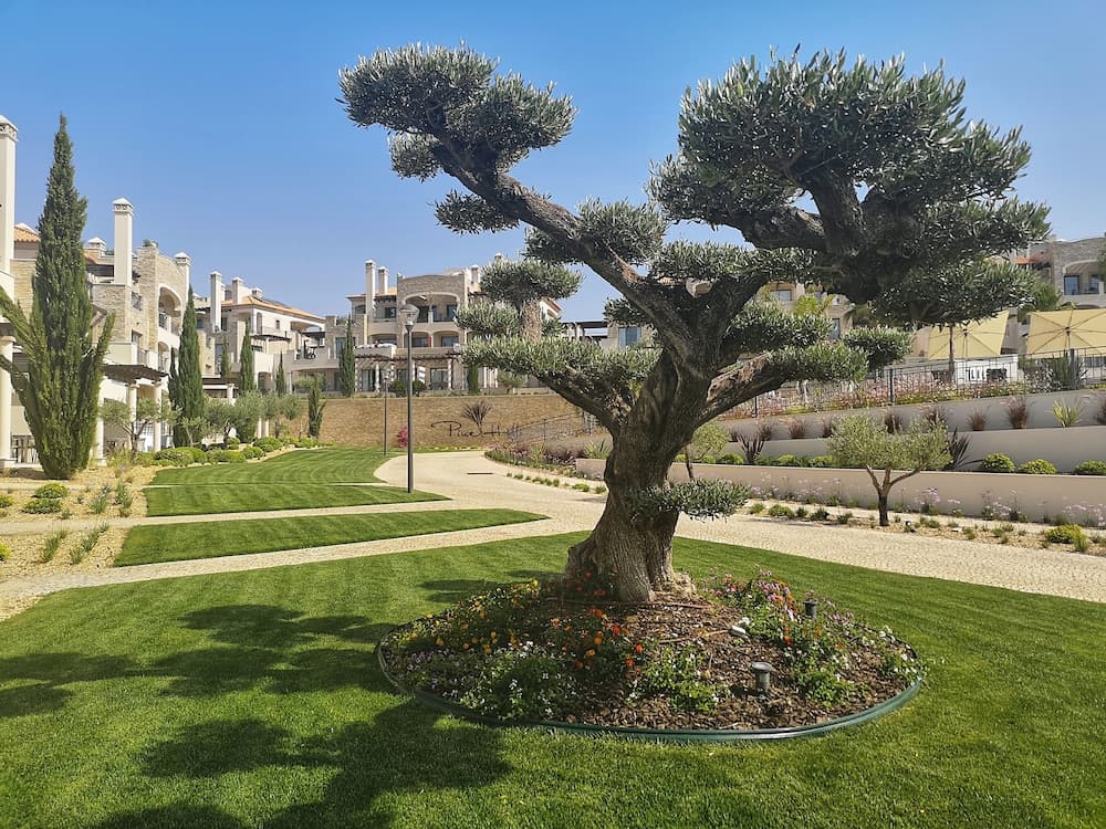 Pine Hills Vilamoura