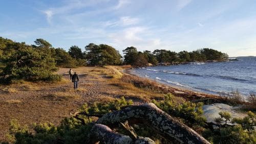 Missionshuset Bed & Breakfast