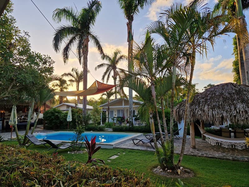 A serene tropical resort scene at Hotel Enjoy Playa Bonita Las Terrenas features lush palm trees, a vibrant blue pool, hammocks under a thatched roof, and cozy lounge chairs, perfect for a relaxing vacation getaway in the Dominican Republic.