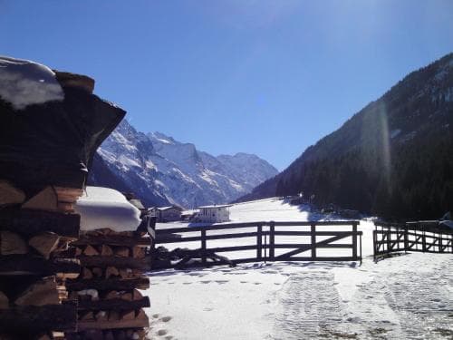 Apart Alpinea