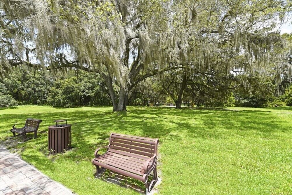 A serene park scene features lush green grass, moss-draped trees, and inviting wooden benches, ideal for relaxation and nature photography.