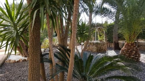 Phalanthos B&B