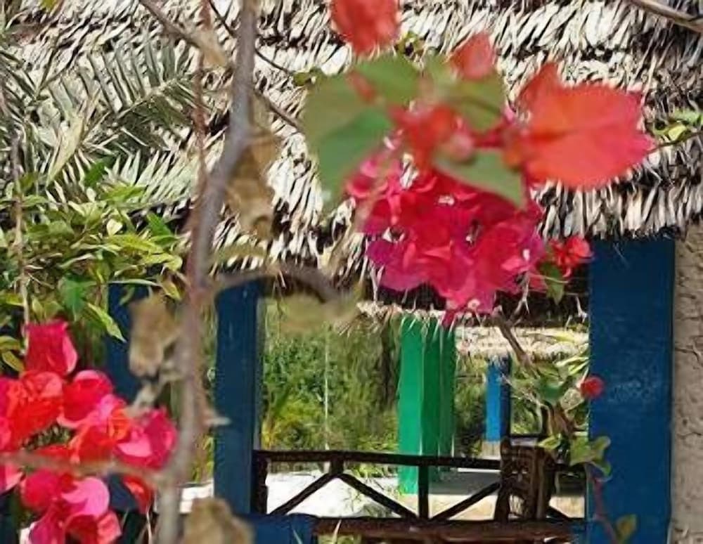 Twisted Palms Lodge & Restaurant