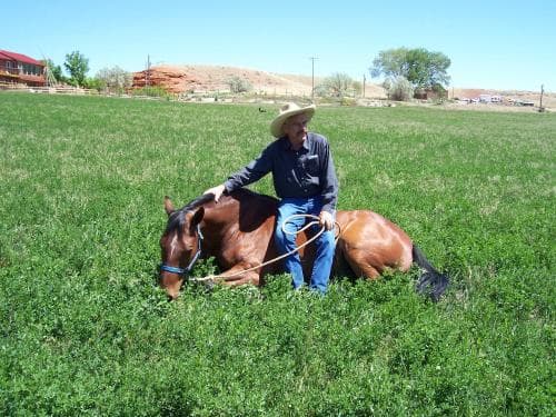 K3 Guest Ranch