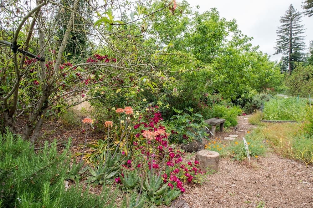 Russian River Studios