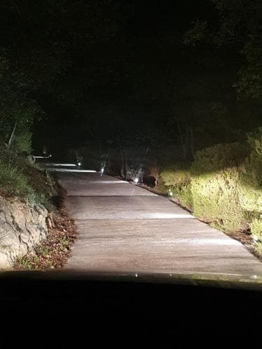 L'Uliveto D'Argento