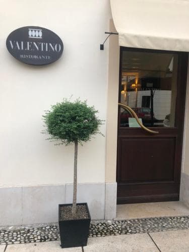 Valentino