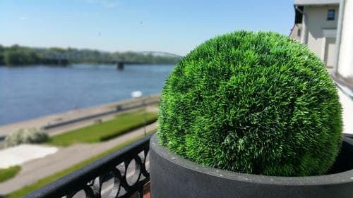 The View Torun