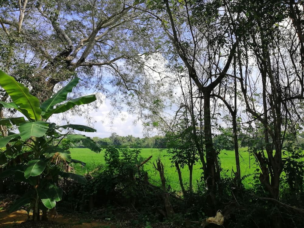Ama Villa