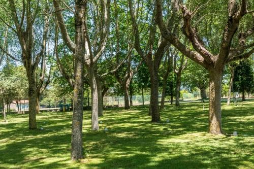 Camping Santa Tecla