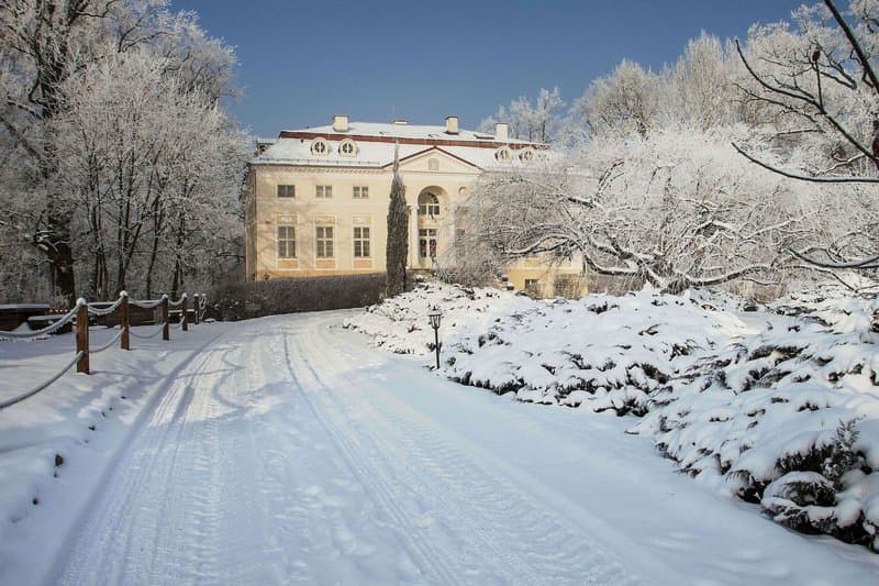 Palac Alexandrów