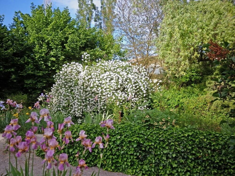I Cedri B&B