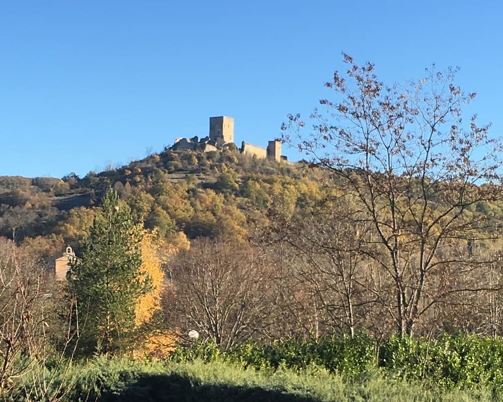 Bonnes Saisons