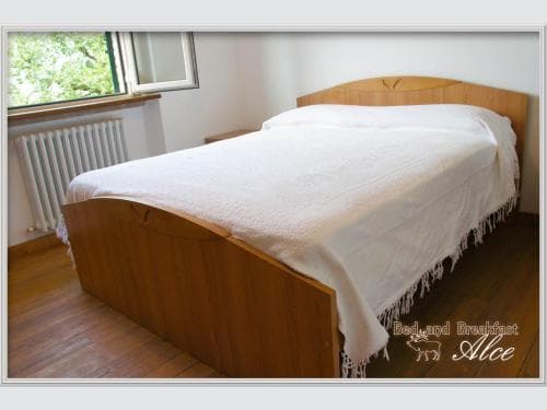 B&B Alce