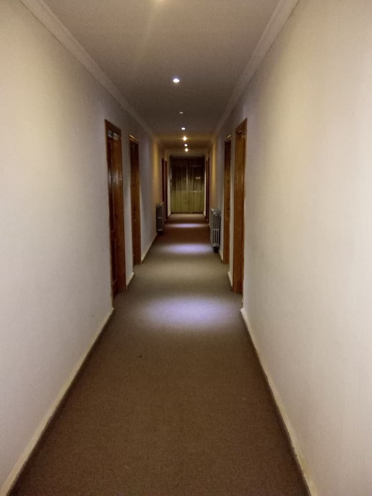 Palace Hotel