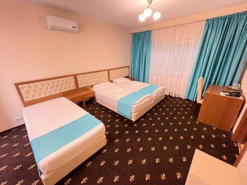 Hostel Paltinis