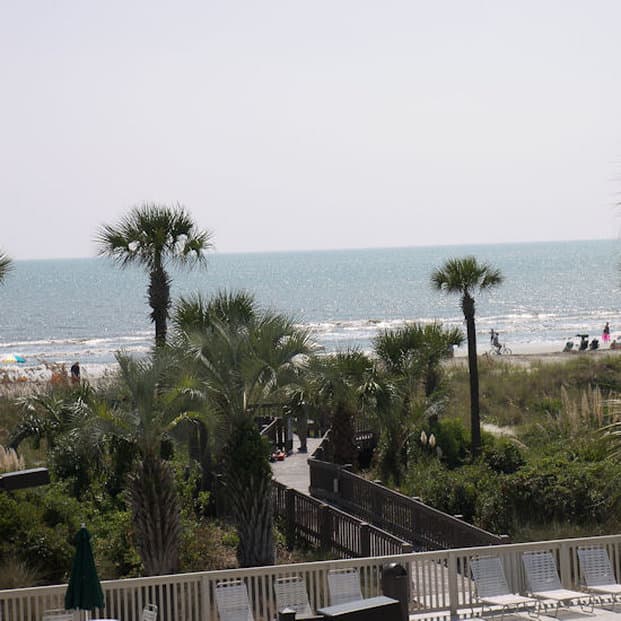 Forest Beach Resort