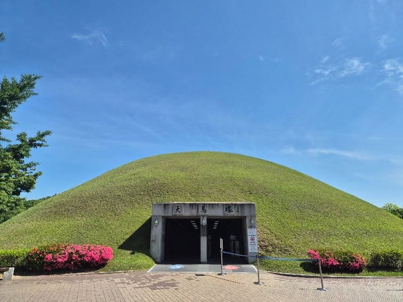 A serene historical site featuring the grass-covered mound of the Daereungwon Tomb Complex in Gyeongju, South Korea, invites travelers to explore ancient tombs under a clear blue sky, surrounded by vibrant flowers and lush greenery.