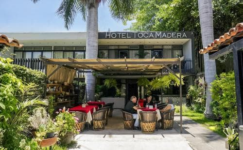 A serene outdoor seating area at Hotel Toca Madera, surrounded by lush greenery and palm trees, offers a tranquil tropical ambiance ideal for travelers seeking relaxation and leisure.