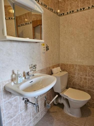 Pension Brezina Prague