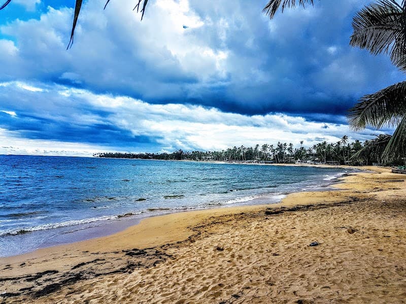 A serene beach scene with golden sands, palm trees, and dramatic clouds at an oasis hotel in Las Terrenas, Dominican Republic, perfect for a tranquil tropical getaway.