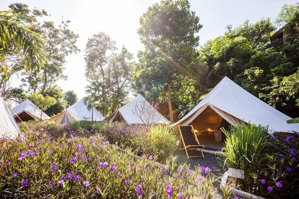 Roost Glamping - SHA Certified