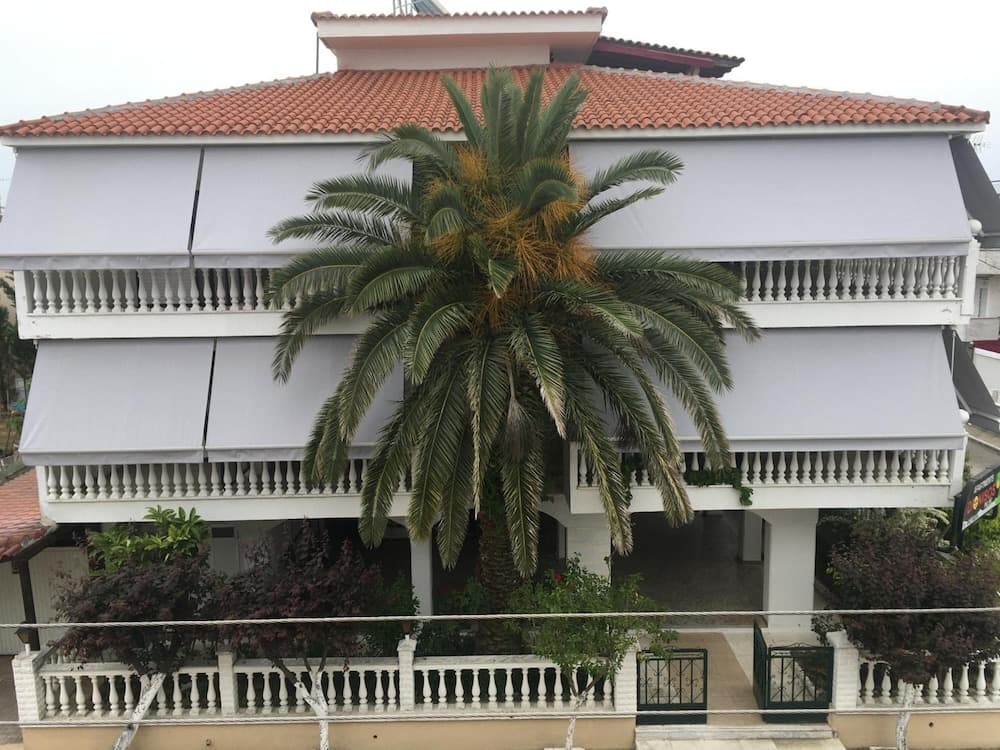 Dionisos Palms