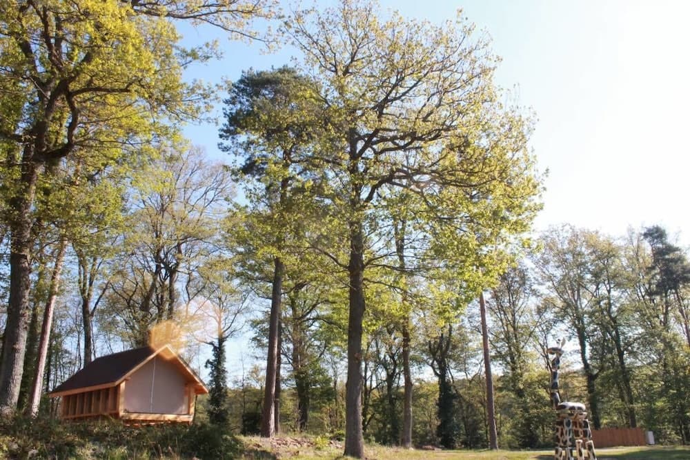 Camping Osenbach