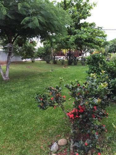 Apto em Jurere