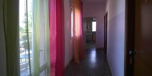 Colors