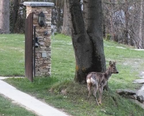 Bed & Breakfast Il Picco