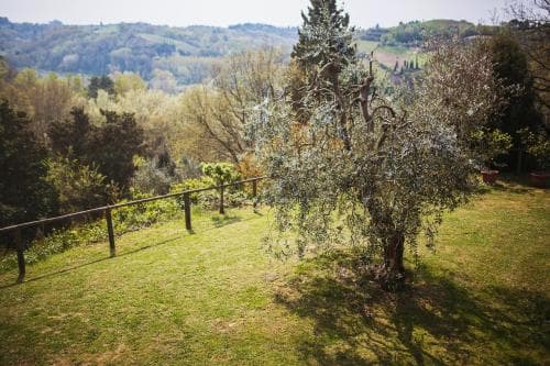 Podere Settefrati