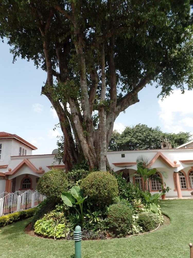 Villa Leone