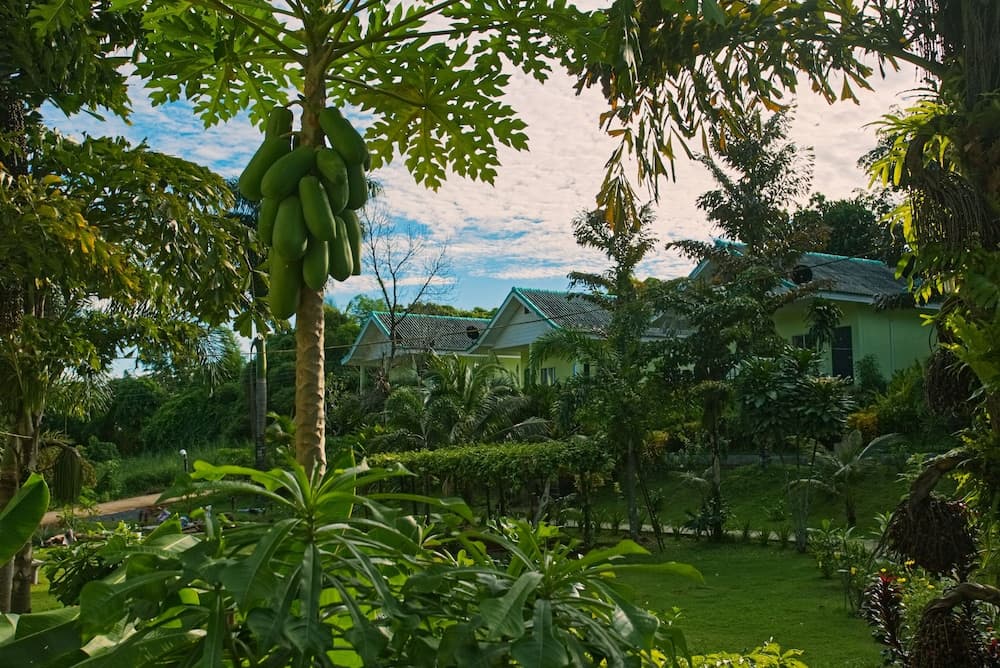 Sea View Resort