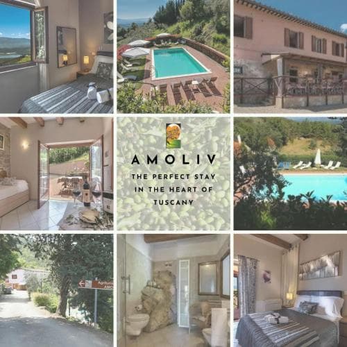 B&B Amoliv