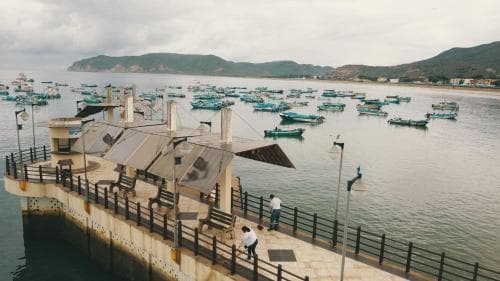 Hostal Humpback Internacional