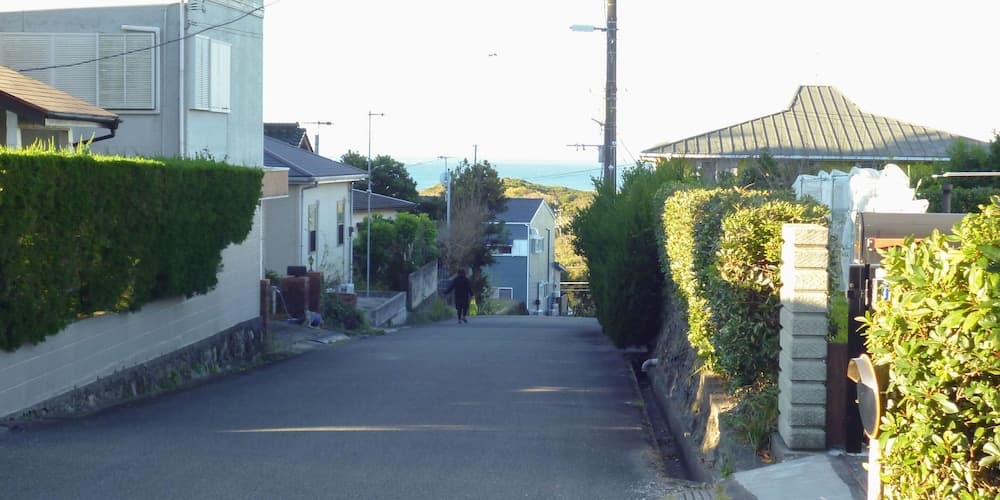 A serene suburban street lined with lush green hedges and modern homes leads to a distant view of the ocean, ideal for travelers seeking peaceful residential exploration.