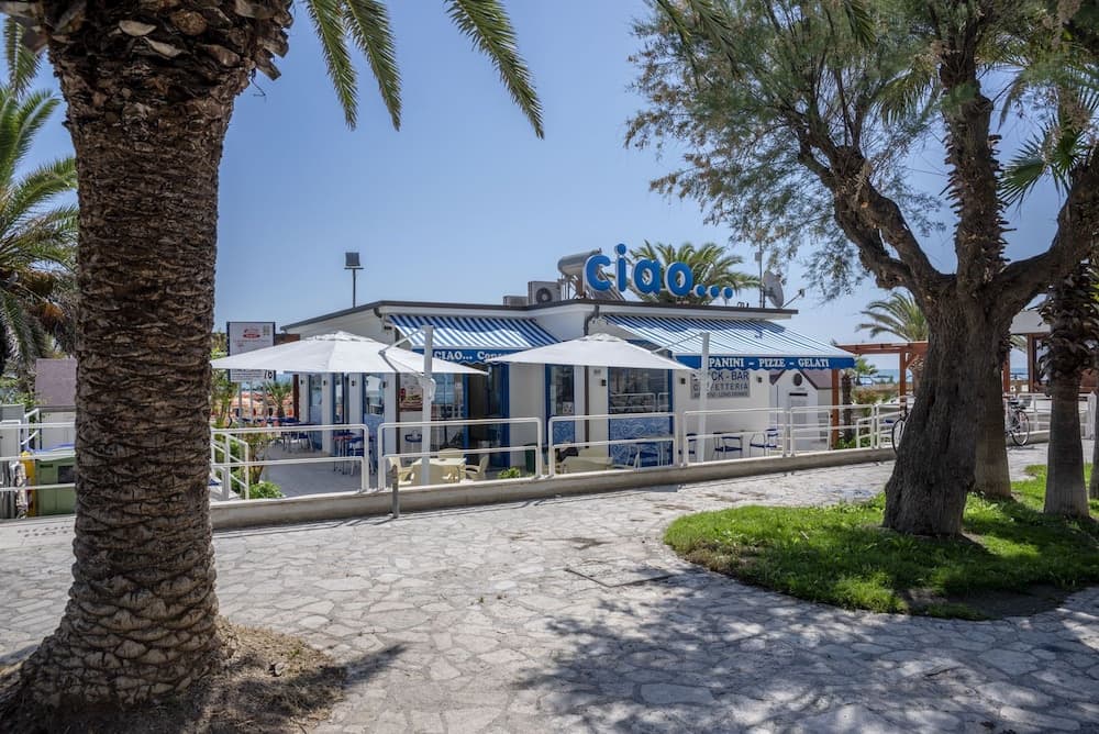 A serene coastal café framed by palm trees and blue skies offers a relaxing spot for travelers to enjoy paninis, pizza, and gelati under white umbrellas.