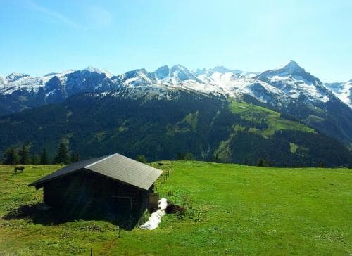Alpenrose Pension