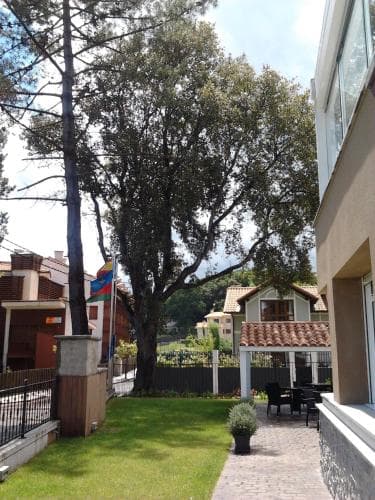 Apartamentos Ancora