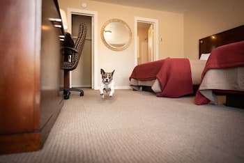 Circle R Motel