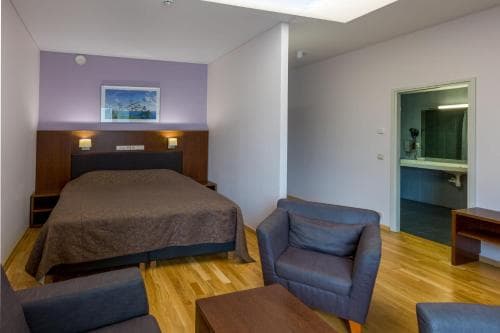 Viiking Spa Hotel