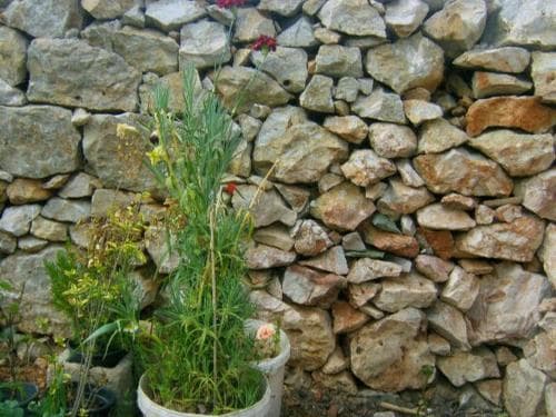 A rustic stone wall backdrop frames vibrant potted plants, creating a serene garden scene ideal for exploring traditional landscaping and natural beauty in travel photography.