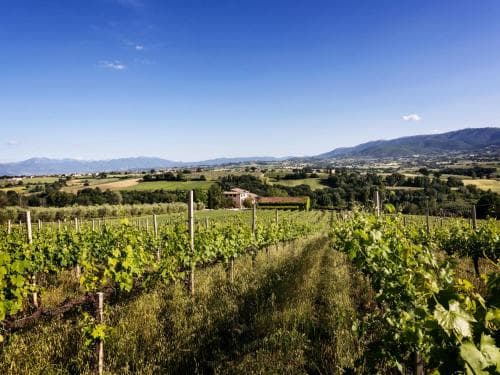 Casale Satriano