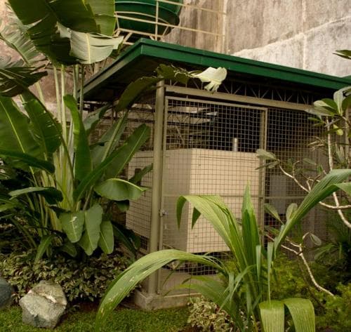 Happy Turtle Hostel