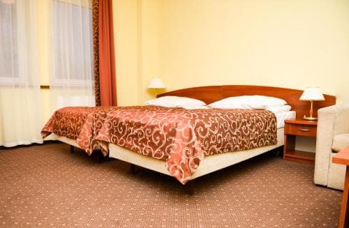 Hotel Wityng