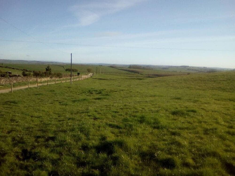 Arbor Low