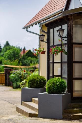 A charming countryside cottage entrance features lush greenery in modern planters, vintage lanterns, and a welcoming atmosphere, ideal for travelers seeking a serene rural retreat.
