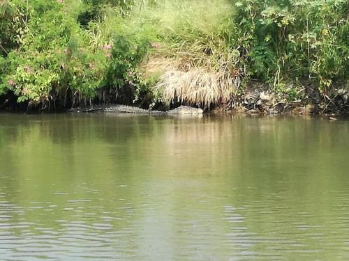 Nildiya Resort