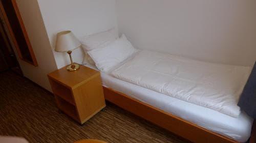 Central-Hotel Greiveldinger